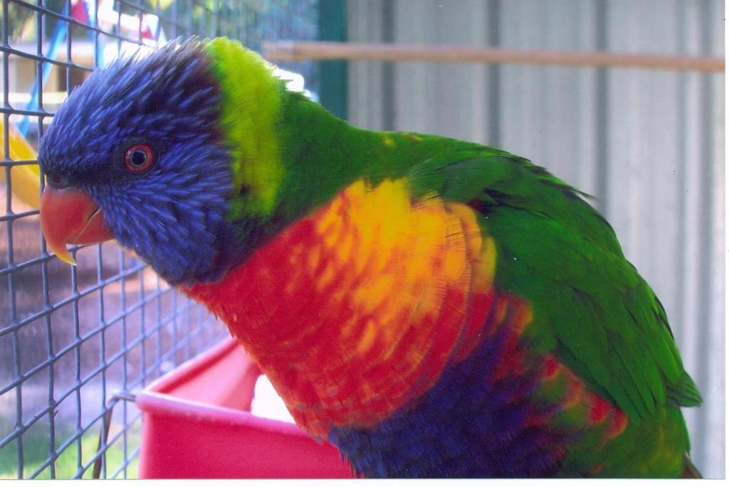 Batemans Bay Holiday Park & Hostel Esterno foto